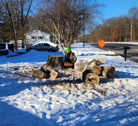 arborist in snow sawing tree trunks battle creek mi