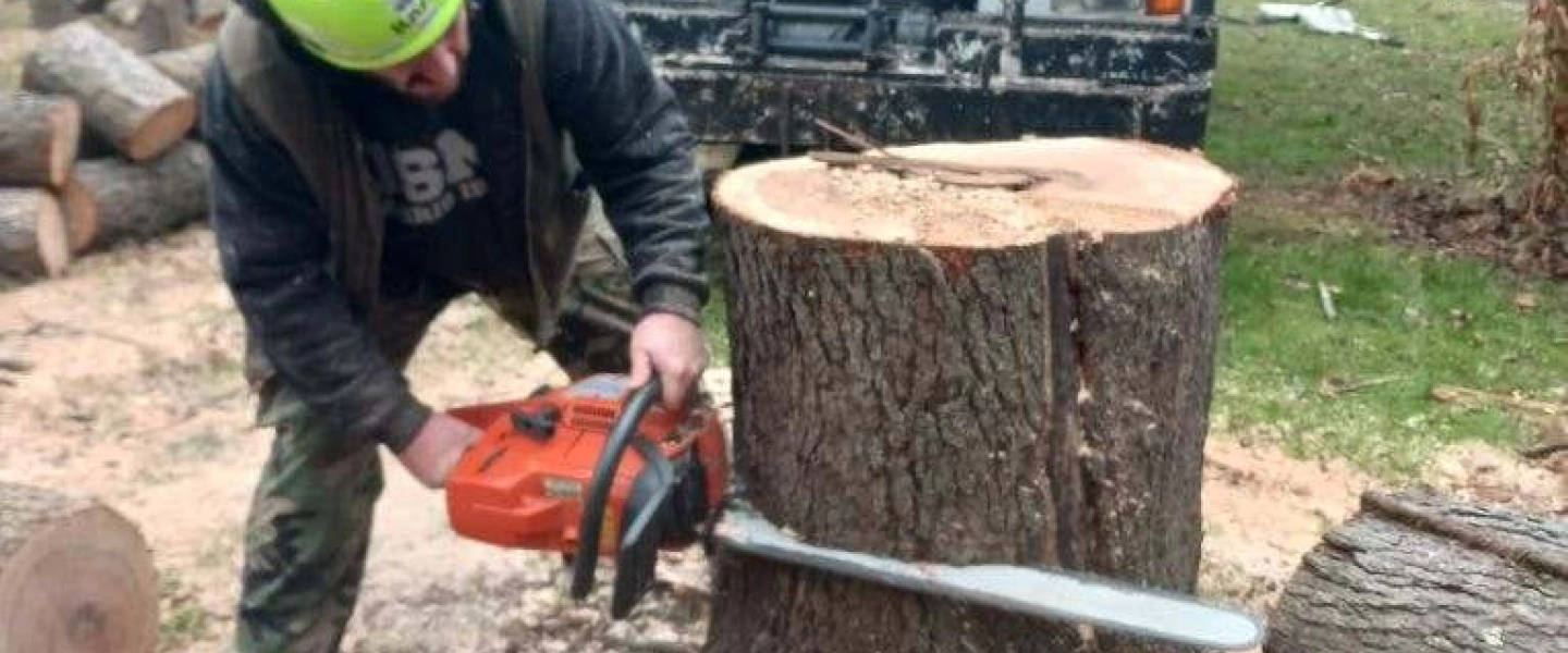 arborist sawing a tree stump battle creek mi