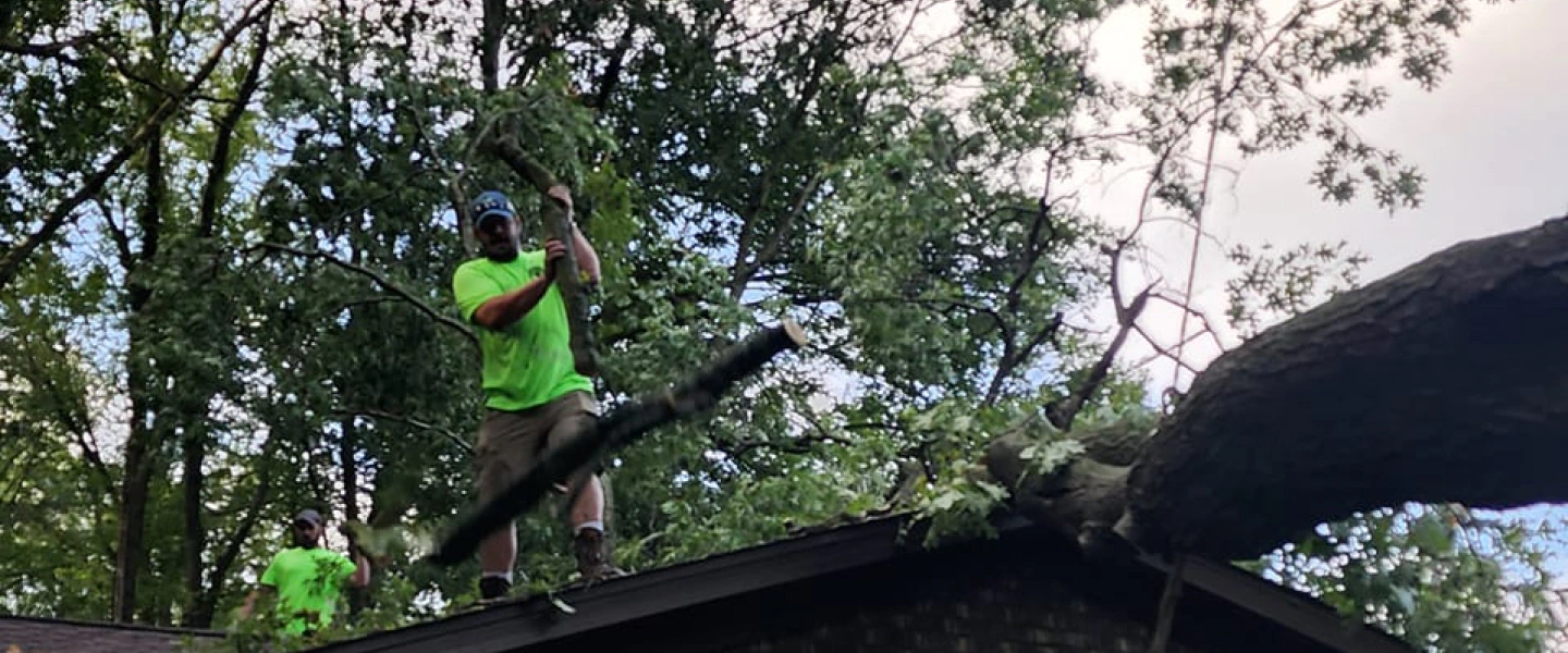 arborist up on a roof removing a fallen tree battle creek mi