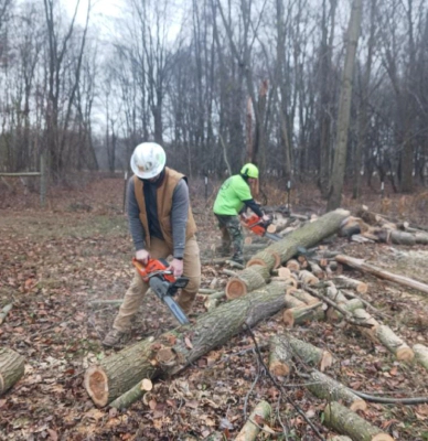 arborists sawing logs 1 battle creek mi