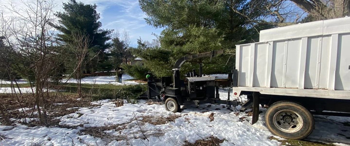 tree service during winter battle creek mi