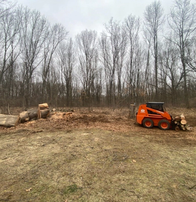 tree service land clearing under development 1 battle creek mi