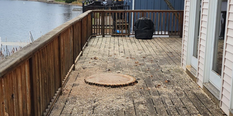 tree stump grinding on client deck battle creek mi