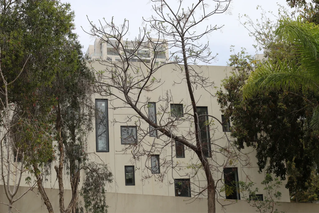 buildings and structures in tel aviv against the background of branches and leaves of tall trees photo 1